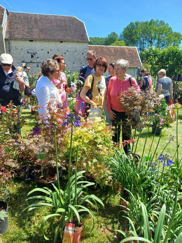 a fête des plantes de Bergères se tient chaque année le jeudi de l’Ascension. En 2025, le village était devenu entièrement piéton et animé par la foule venue découvrir les stands des pépiniéristes, producteurs de plantes et décorateurs de jardin.

Dans cette ambiance chaleureuse et festive, Nicole et Martine ont passé la journée à flâner. Un concert en début d’après-midi permettait également de soutenir la restauration de l’église